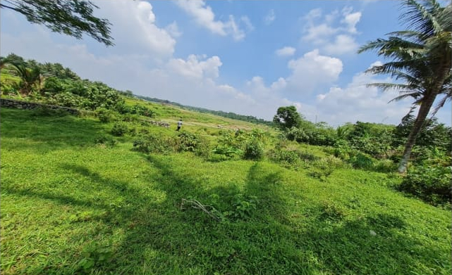 Dijual Tanah Jl. Raya Dago, Kebasiran,Parung Panjang,Bogor