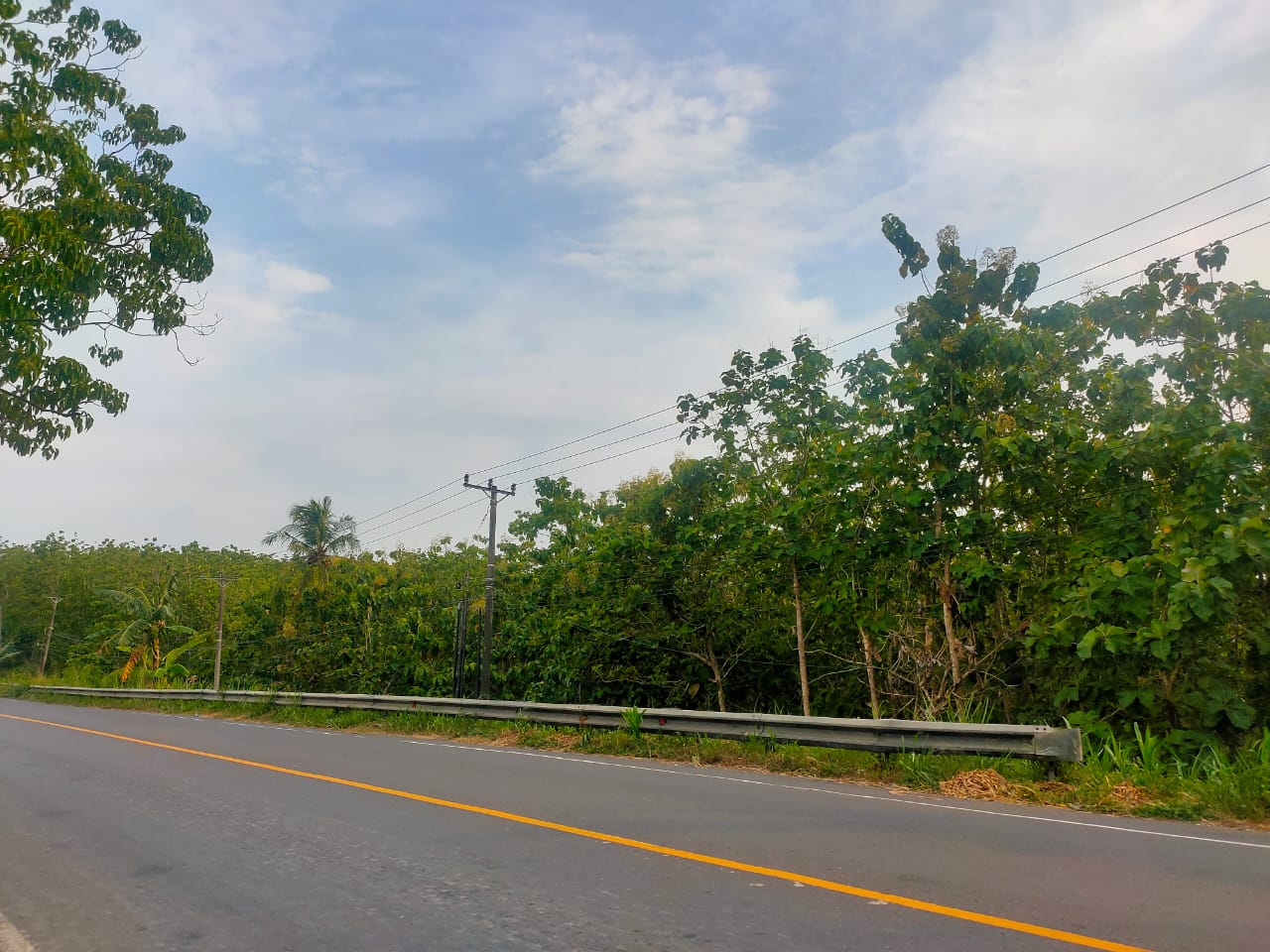 Dijual Tanah di Jl. Lintas Sumatera, Sukabanjar, Lampung Selatan