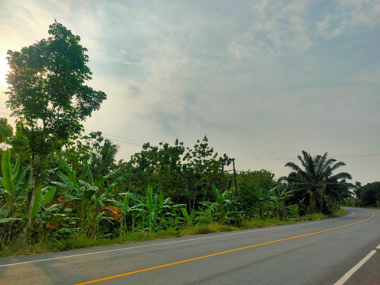 Dijual Tanah di Jl. Lintas Sumatera, Sukabanjar, Lampung Selatan