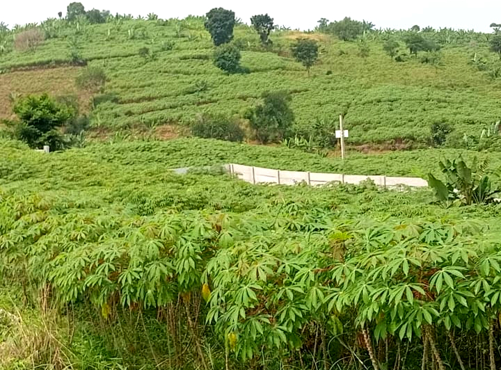 Dijual Tanah di Desa Tangkil, Kec. Citeureup, Bogor, Jawa Barat