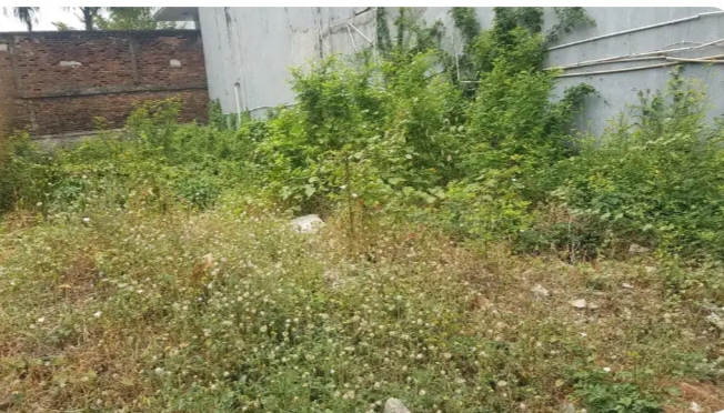 Dijual Tanah di Cempaka Putih.