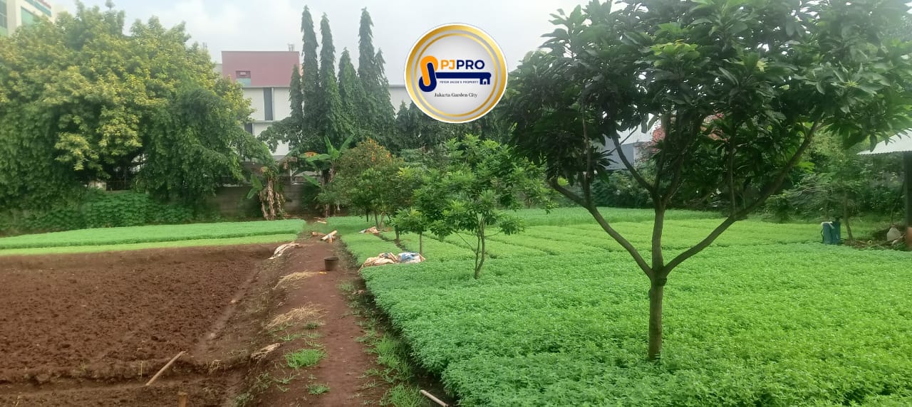 Dijual Tanah Terdiri 5 SHM di Bekasi Timur