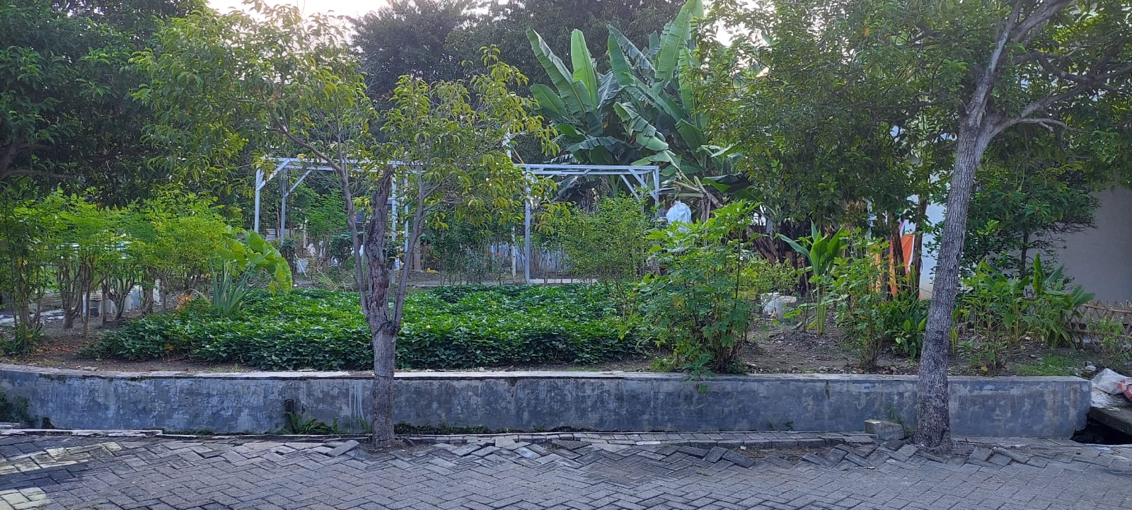 💎 KAVLING HOOK TERBAIK DI TPI SURABAYA!