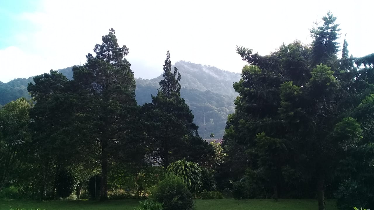 Dijual Villa di Jl.Raya Puncak-Gadog,Ciloto,Cipanas,Jawa Barat