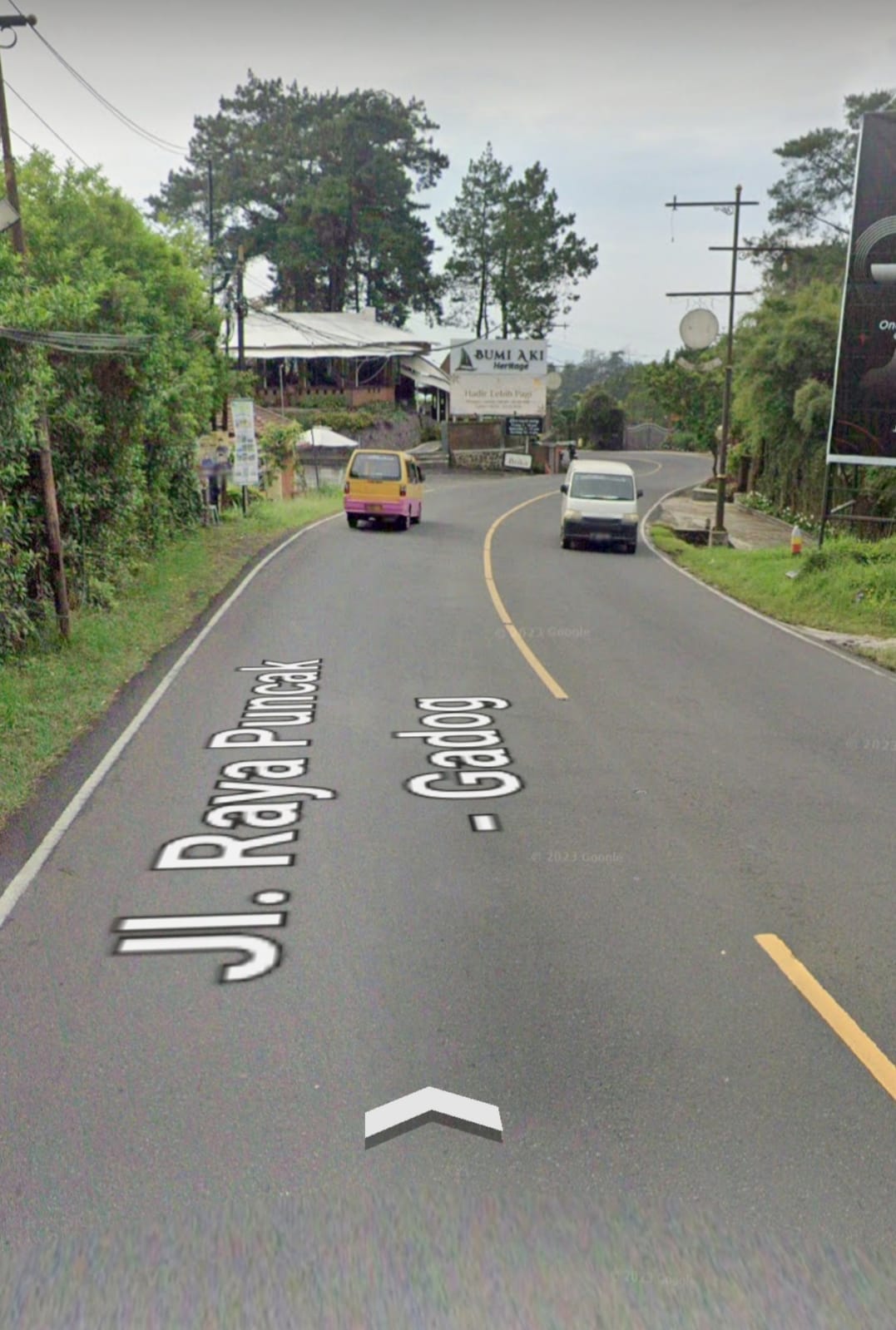 Dijual Villa di Jl.Raya Puncak-Gadog,Ciloto,Cipanas,Jawa Barat