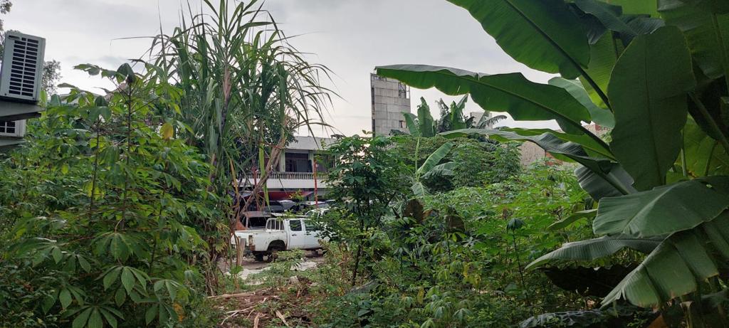 Jual tanah di Mampang, Jakarta Selatan