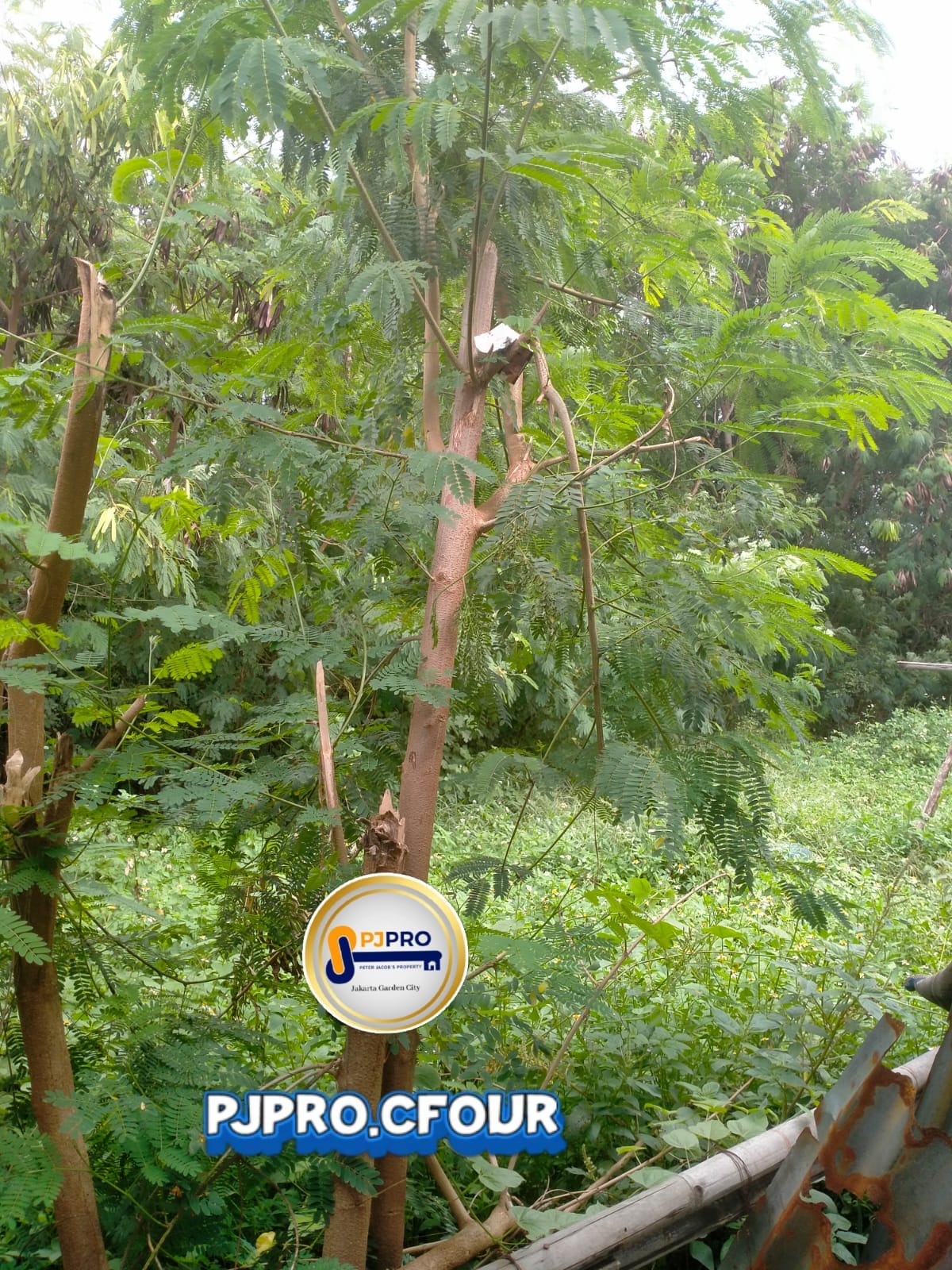 Dijual Tanah dengan Lokasi Strategis Pinggir Jalan Setia Asih