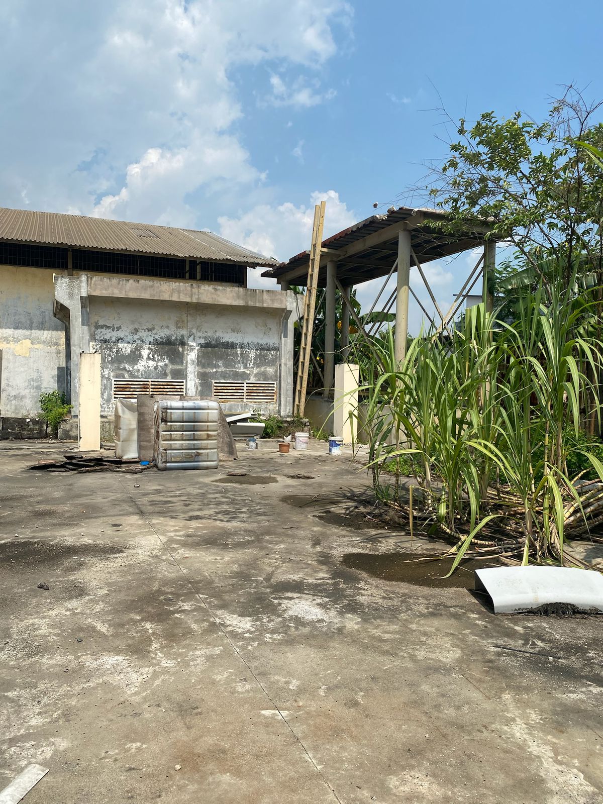 Sewa Tanah Kavling Gudang Kapuk Kamal Raya, Kamal Muara