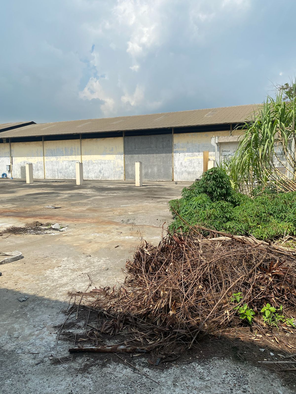 Sewa Tanah Kavling Gudang Kapuk Kamal Raya, Kamal Muara