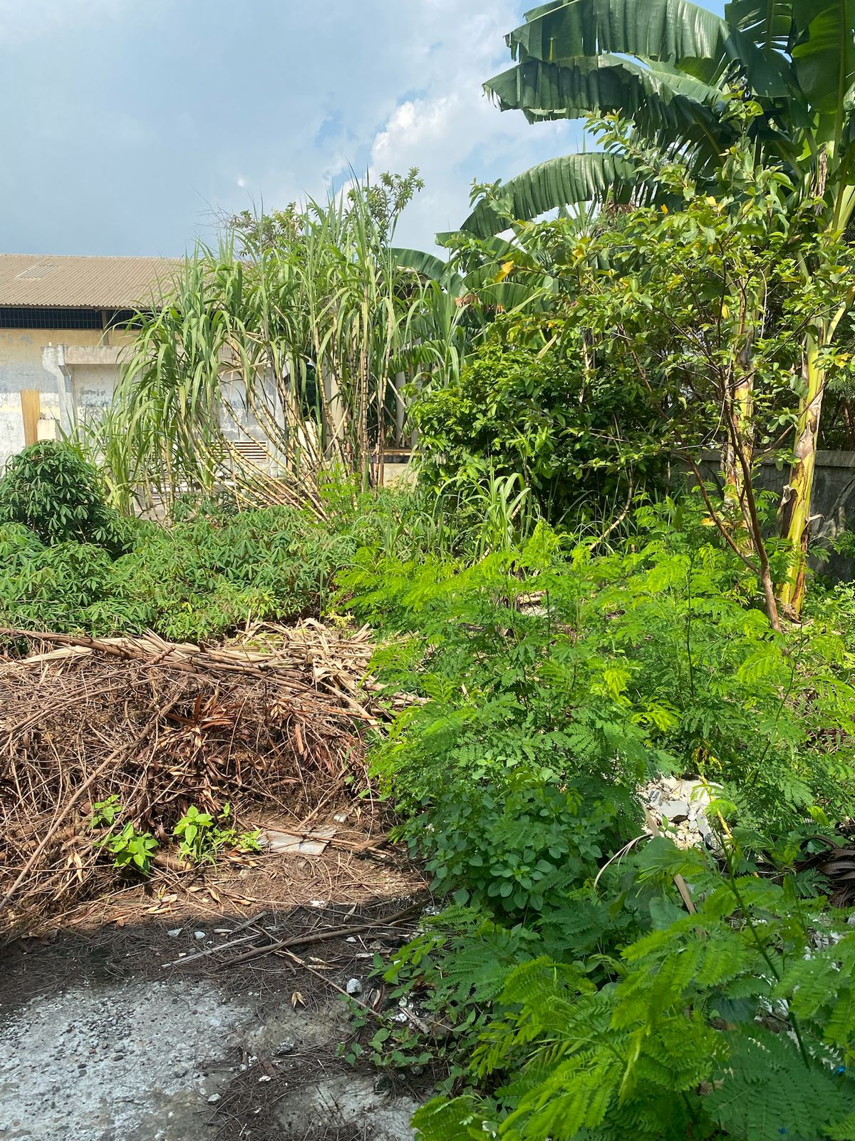 Sewa Tanah Kavling Gudang Kapuk Kamal Raya, Kamal Muara