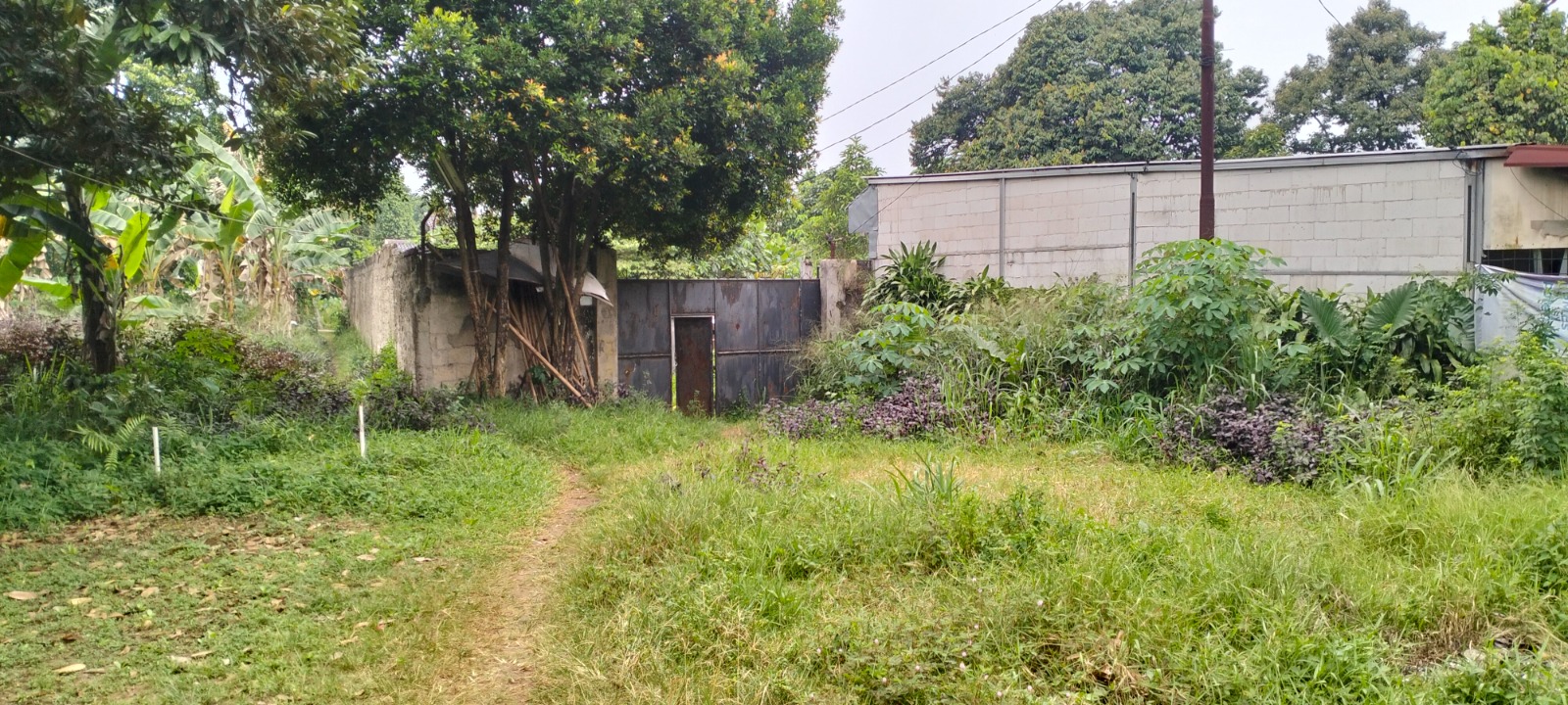 Jual tanah sesuai NJOP di Pamegarsari, Parung, Kabupaten Bogor