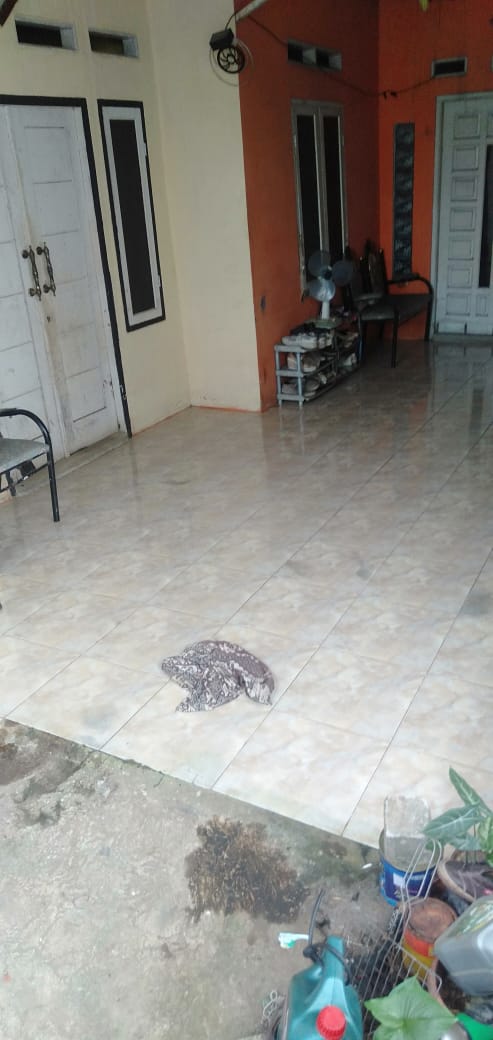 Jual Cepat Rumah Murah 110 juta Akses Motor Dekart Terminal Jati