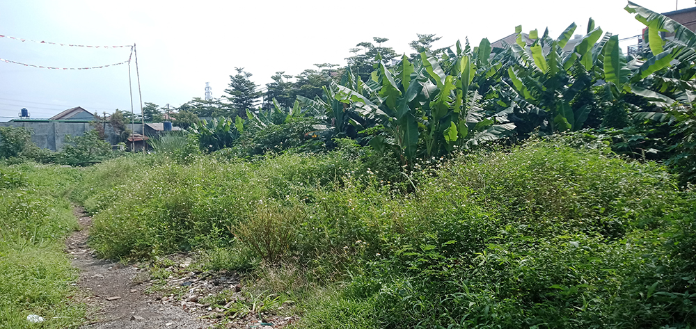 Tanah Untuk Kost Ekslusif Dekat Telkom University Bandung