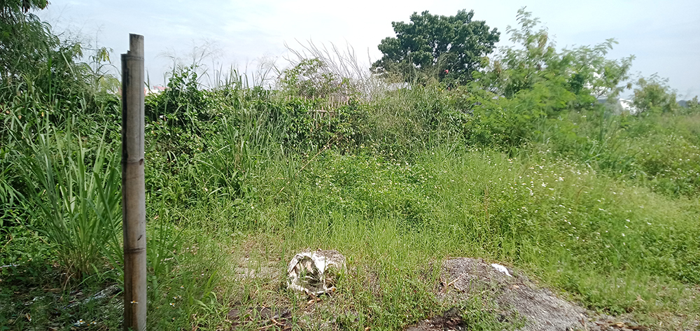 Tanah Untuk Kost Ekslusif Dekat Telkom University Bandung