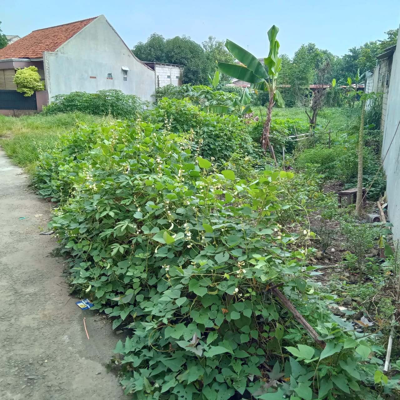 Tanah murah cocok untuk cluster di Pekapuran Depok