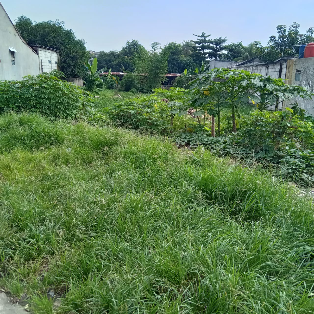 Tanah murah cocok untuk cluster di Pekapuran Depok