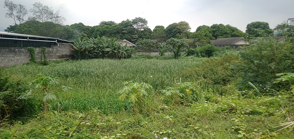 Tanah Utk Pergudangan  Industri di Sayap Jl. Soekarno Hatta Bdg