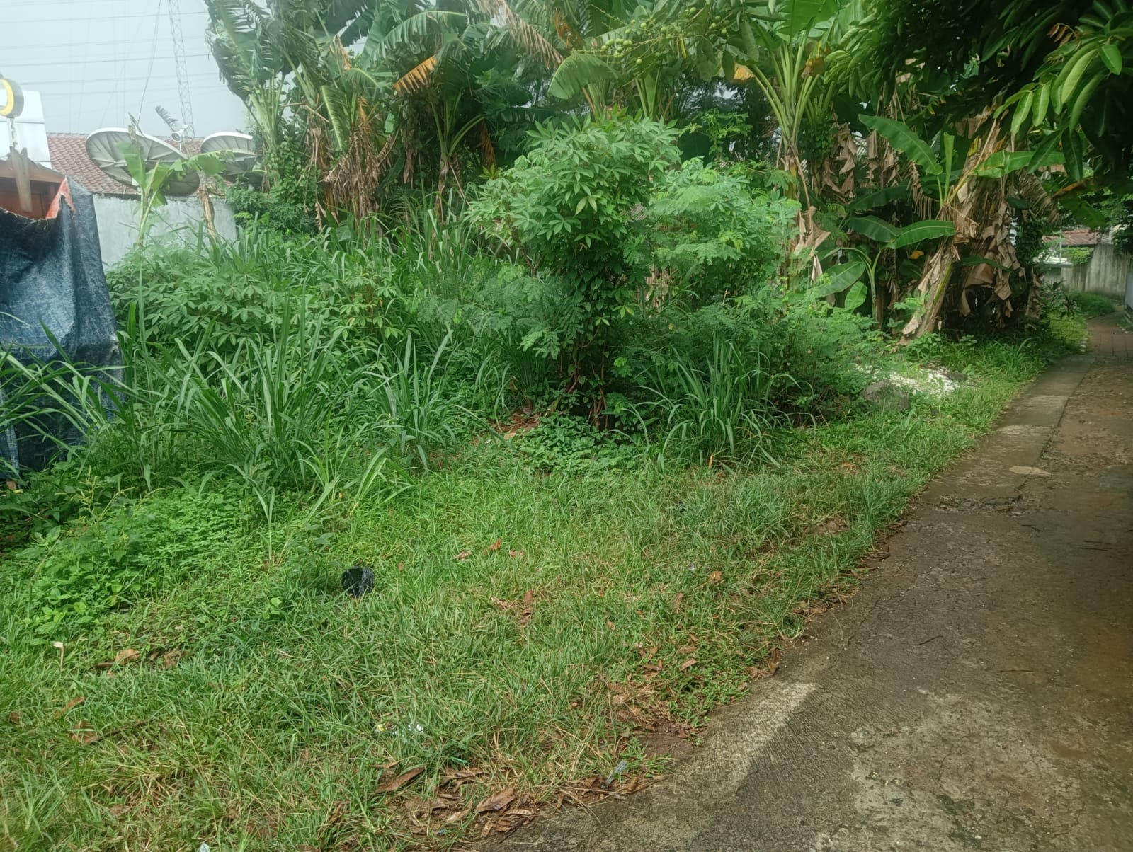 Tanah di Pinggir GDC sebelah toko daging nusantara