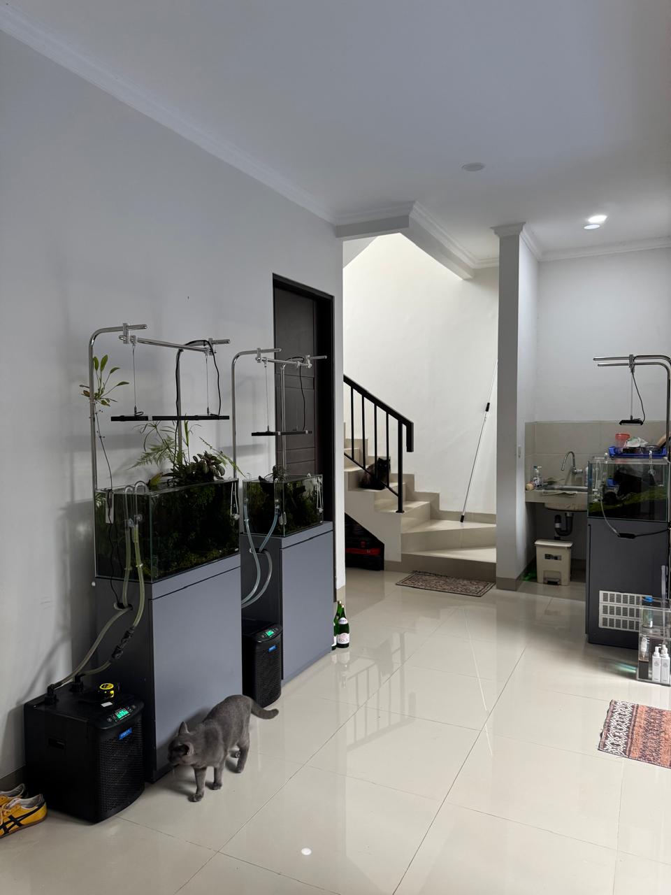 Jual rumah baru modern dan strategis di Lanata Village, Depok