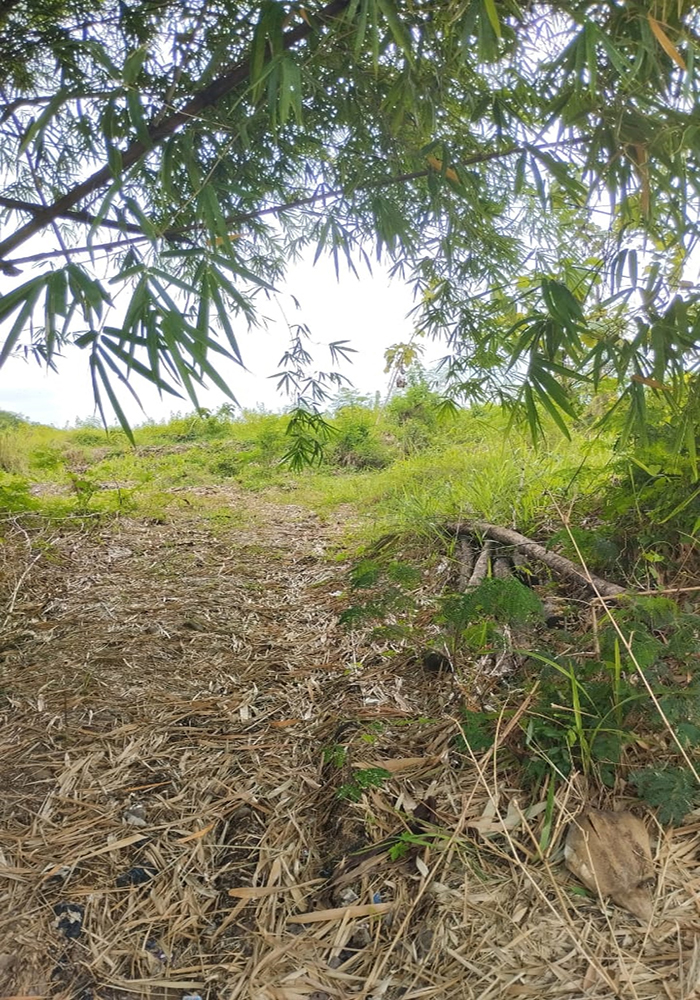 Tanah Utk Residensial Komersial di Jl. Raya Jatiwangi Majalengka