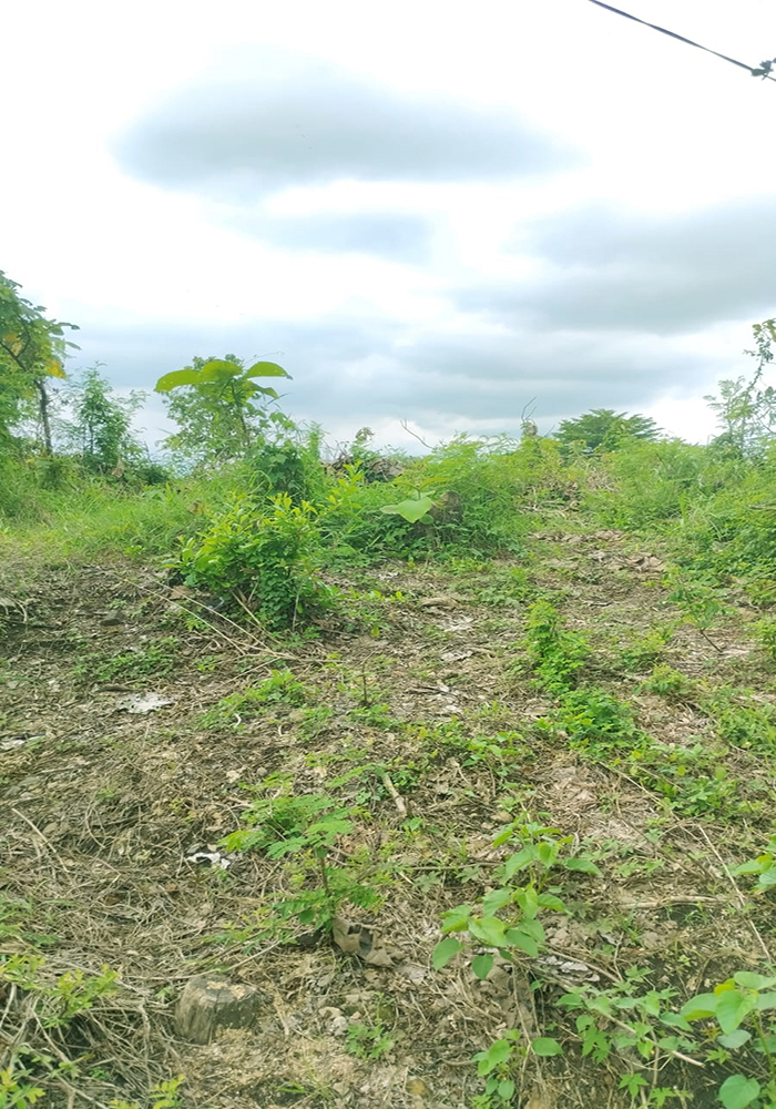 Tanah Utk Residensial Komersial di Jl. Raya Jatiwangi Majalengka