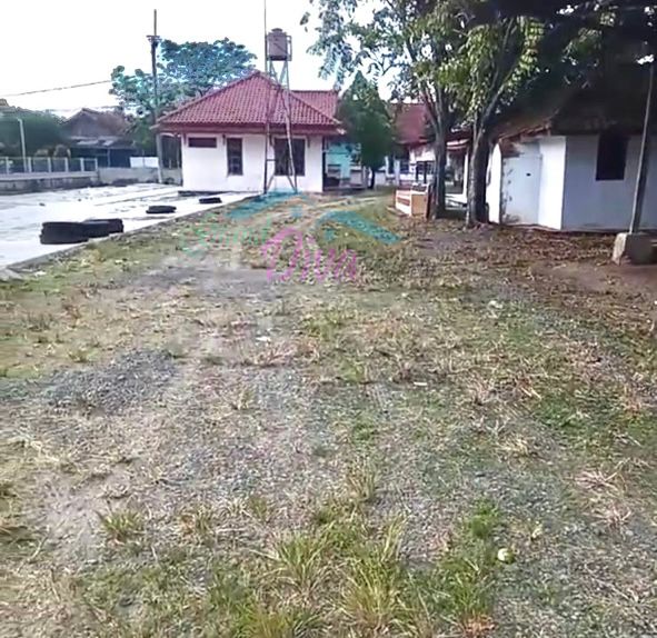 PABRIK PENGGILINGAN PADI DI HAURGEULIS