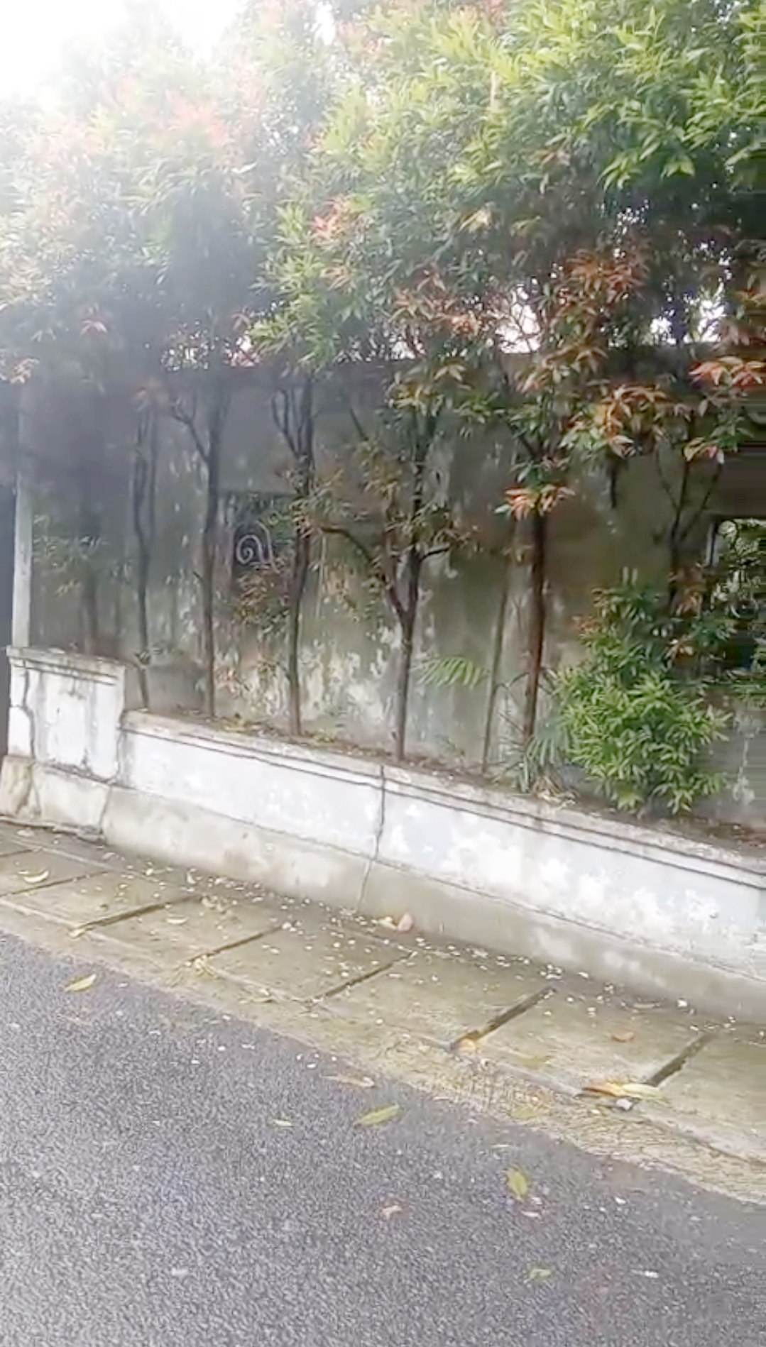 Jual Rumah Hitung Harga Tanah Layak Huni Strategis di Jagakarsa,