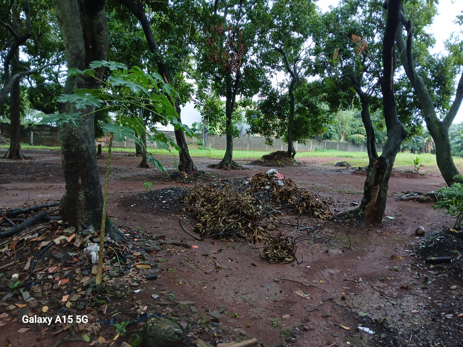 Jual tanah kosong luas siap bangun di Pagelarang, Setu, Cipayung