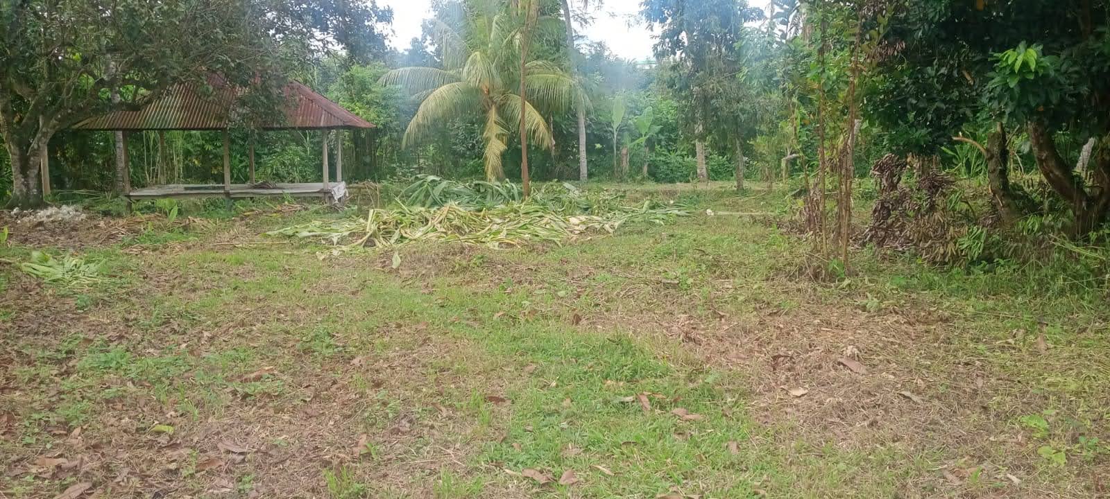 DIJUAL TANAH STRATEGIS di LOMBOK COCOK UNTUK DEALER SHOW ROOM