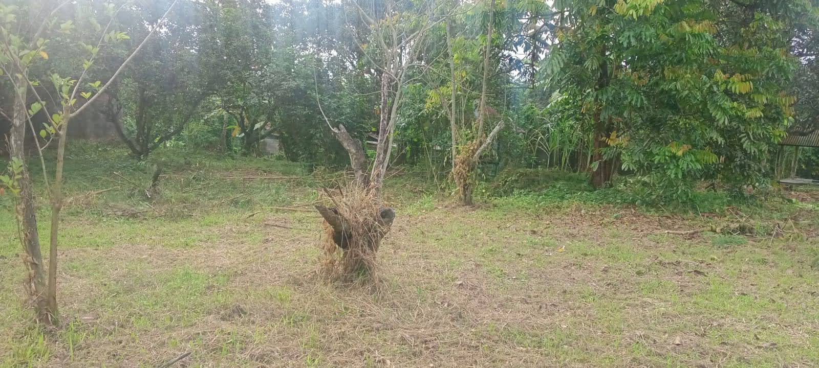 DIJUAL TANAH STRATEGIS di LOMBOK COCOK UNTUK DEALER SHOW ROOM