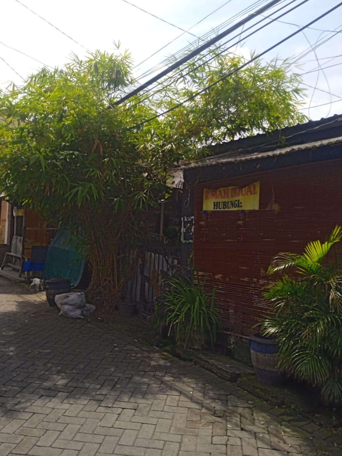 rumah dijual petemon sidomulyo surabaya