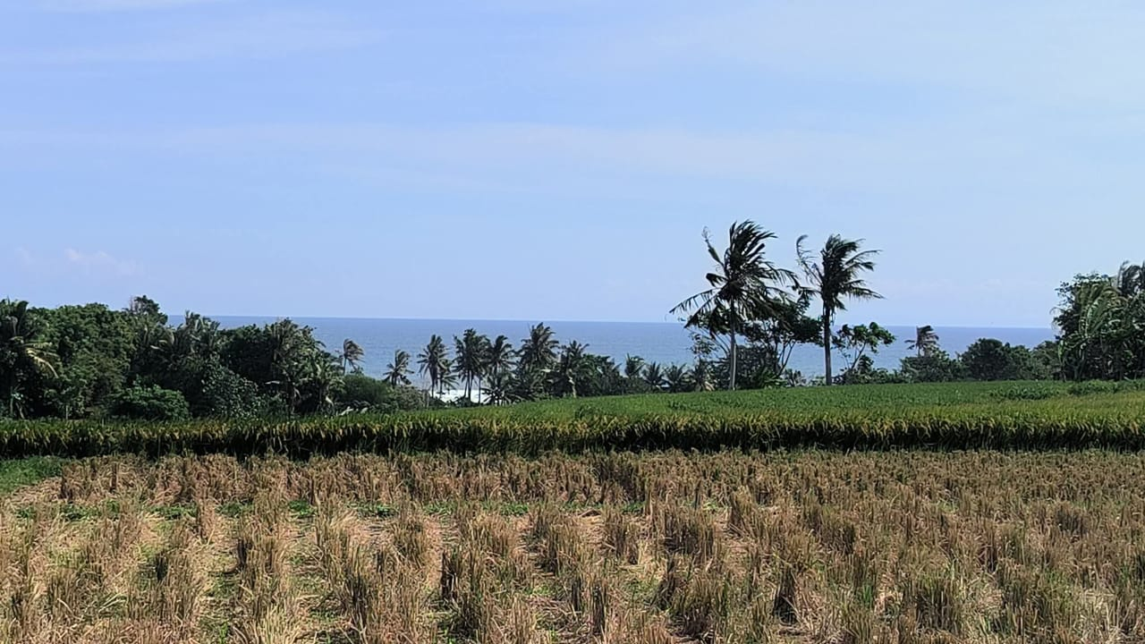 Tanah Kelecung