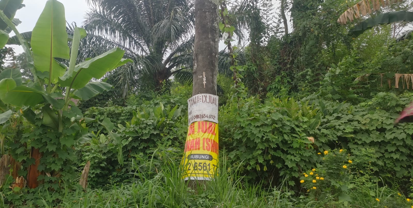 Dijual Tanah di Kota Medan