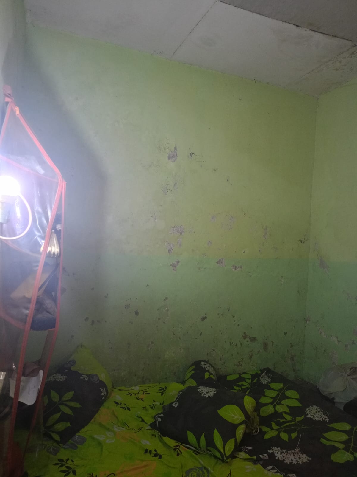 Rumah Dijual Harga di Bawah Pasaran Siap Huni!