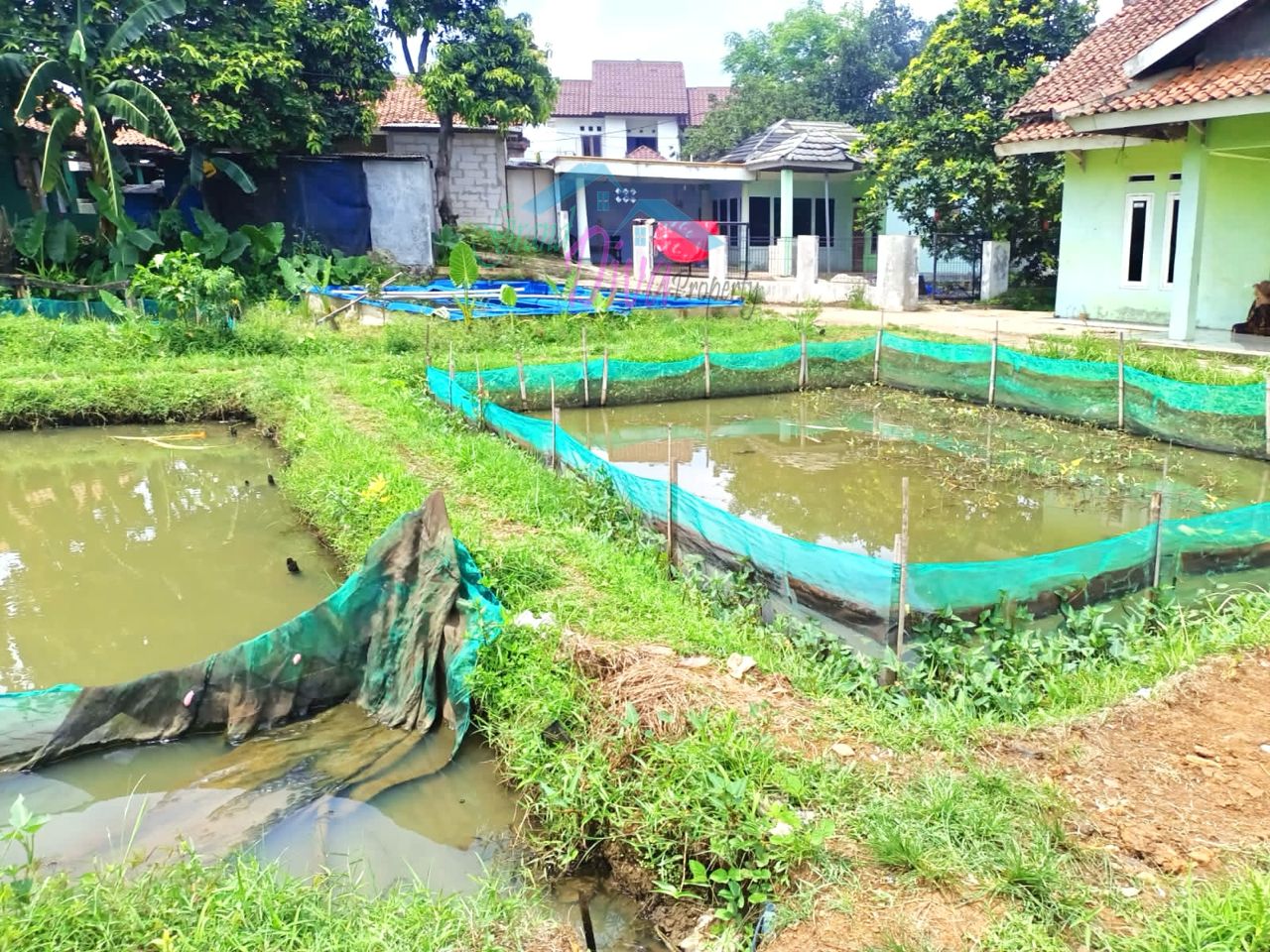 JUAL MURAH TANAH EMPANG PINGGIR JALAN Kp.BABAKAN SABRANG CISEENG