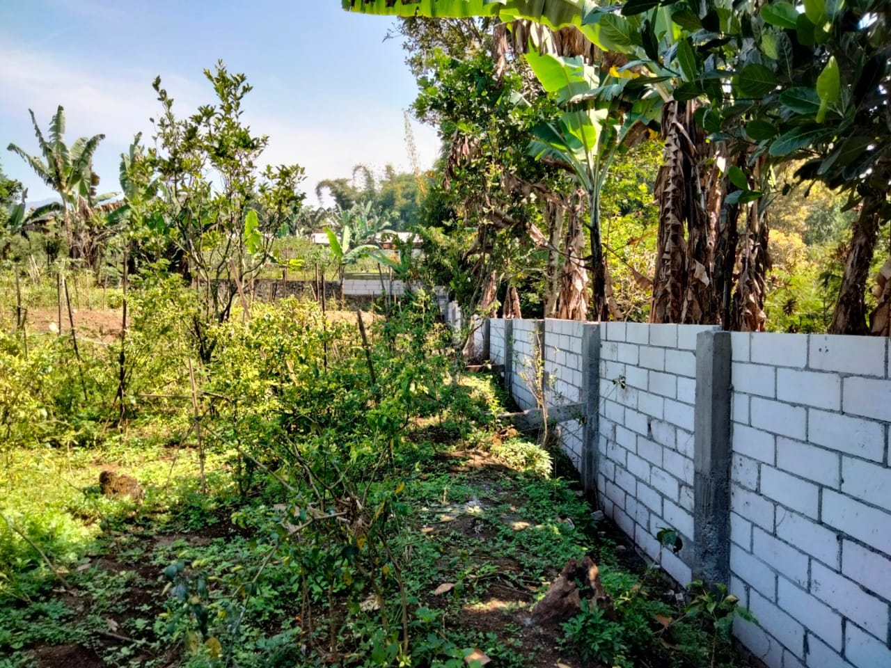 Harga Spesial!  Villa Diskon Besar, Harga Lebih Murah dari Pasar