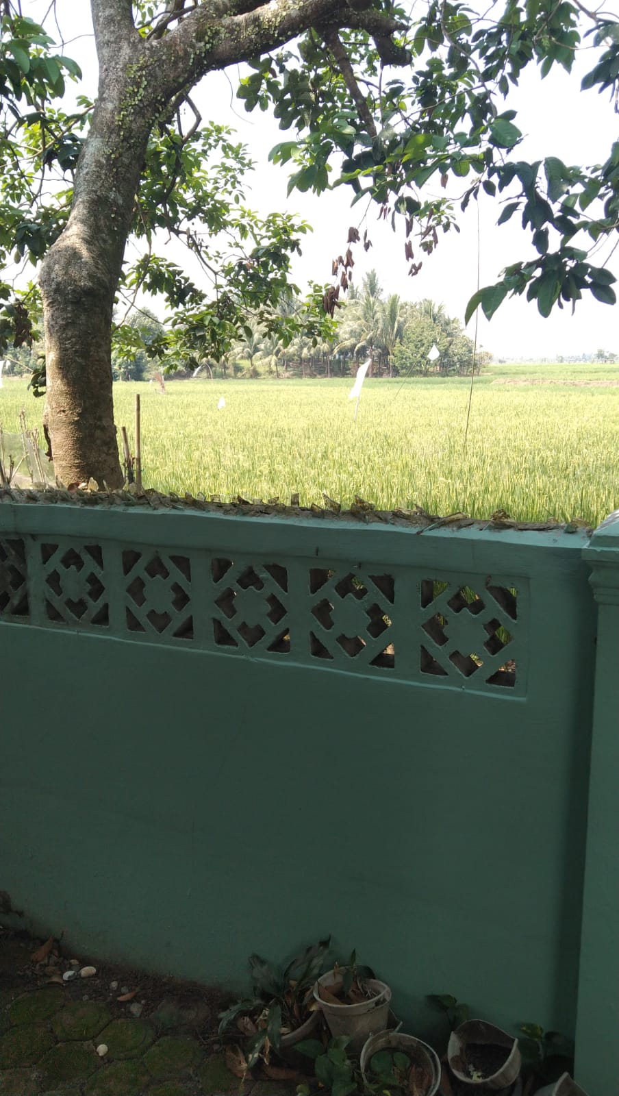 Dijual - Rumah Tinggal 1 Lantai, Perumahan Sri Gunting Sunggal