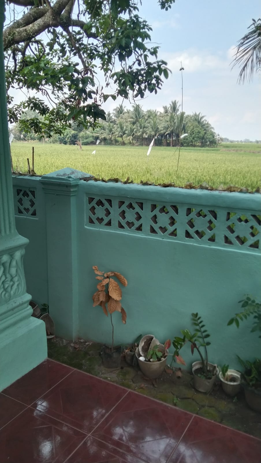 Dijual - Rumah Tinggal 1 Lantai, Perumahan Sri Gunting Sunggal