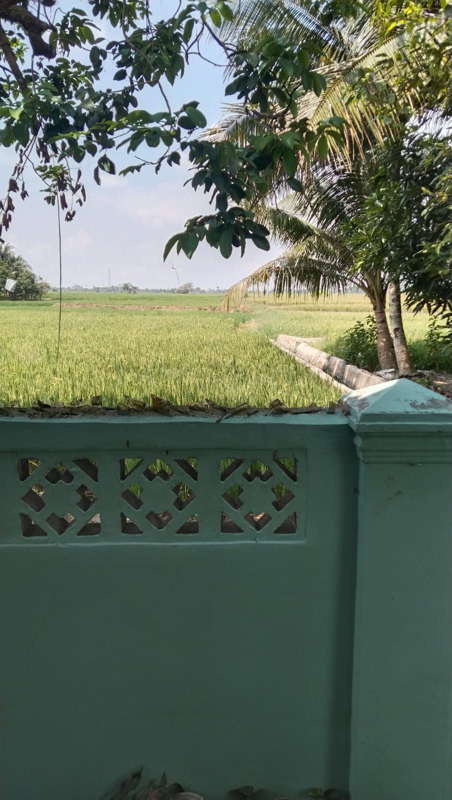 Dijual - Rumah Tinggal 1 Lantai, Perumahan Sri Gunting Sunggal