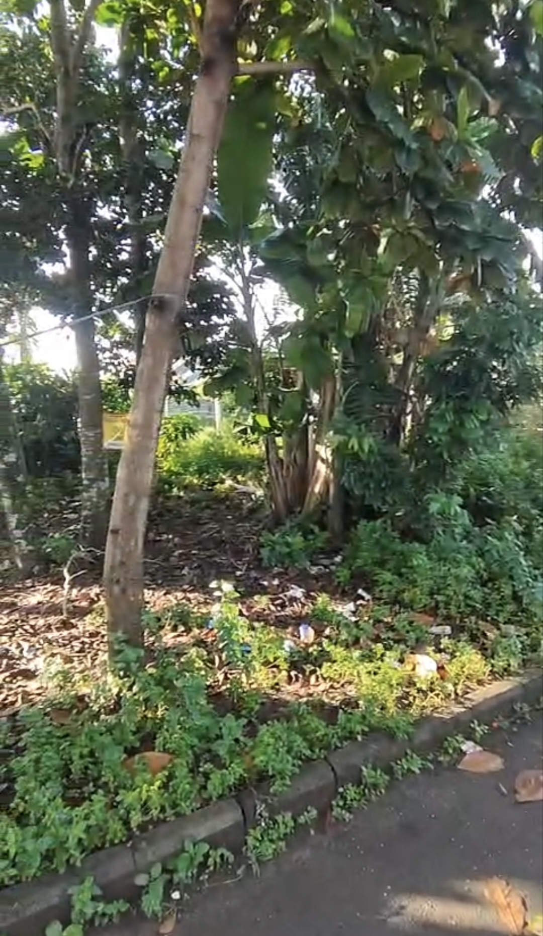 Dijual Sebidang Tanah Bagus Siap Bangun Strategis di Tapos