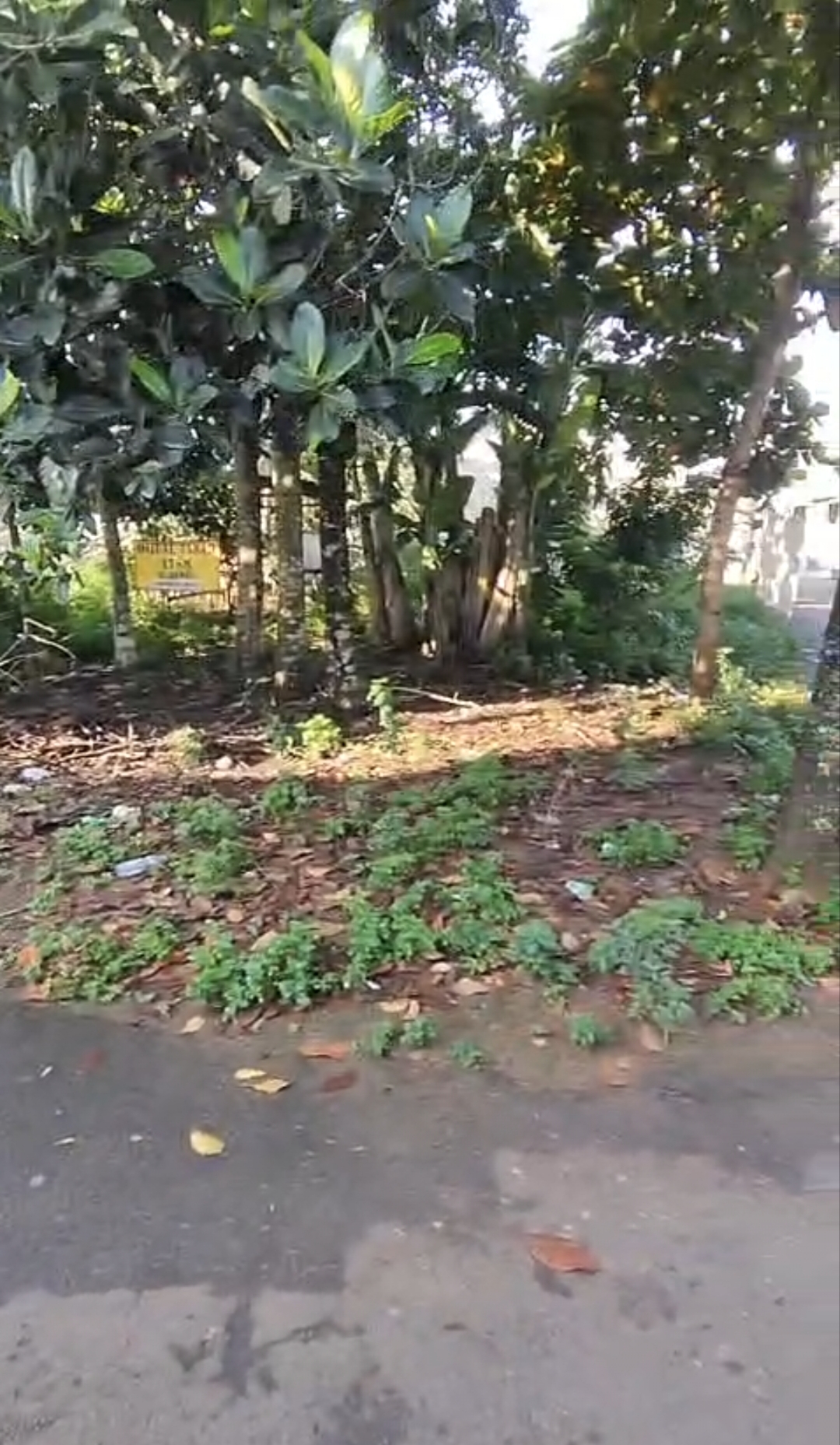 Dijual Sebidang Tanah Bagus Siap Bangun Strategis di Tapos