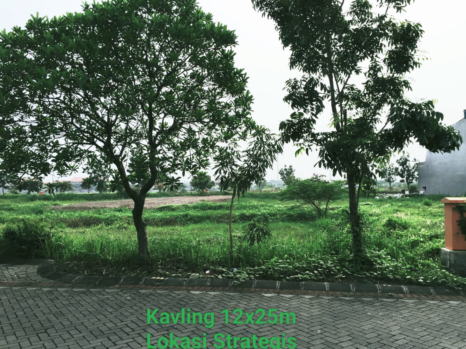 Jarang ada Tanah Hunian Puri Galaxy Cluster Lotus PPJB split