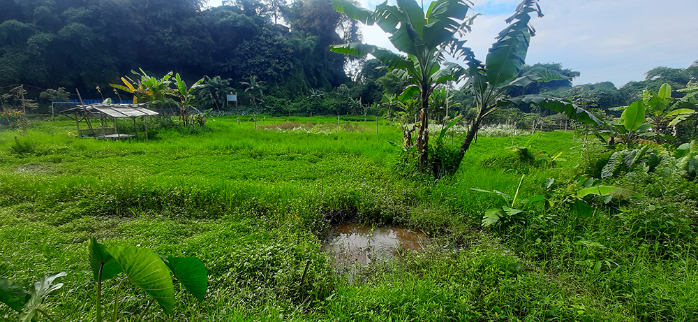 TANAH RESIDENSIAL UTK CLUSTER DI SERSAN BAJURI BANDUNG