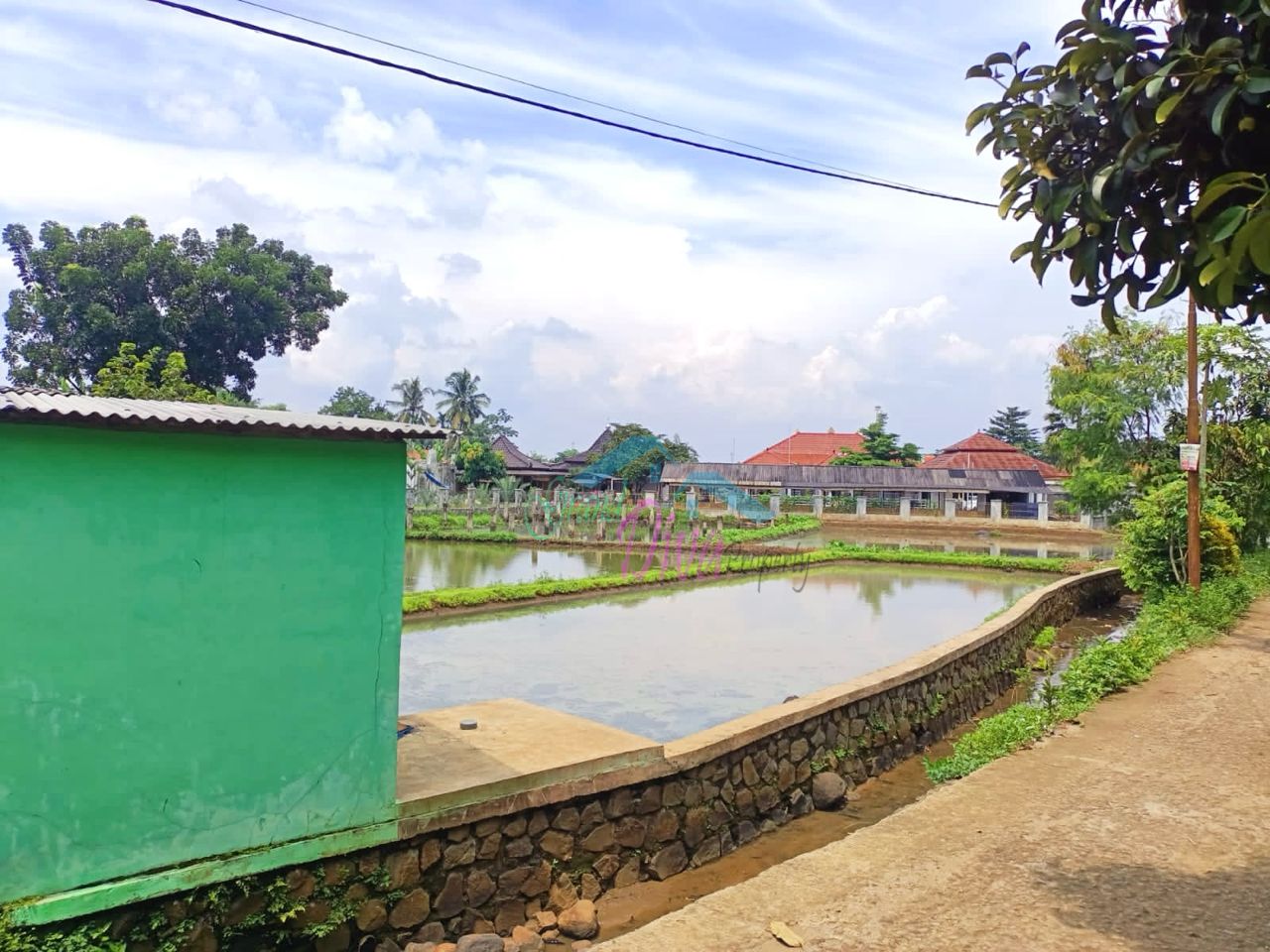 JUAL MURAH TANAH EMPANG PINGGIR JALAN Kp. BABAKAN SABRANG CISEEN