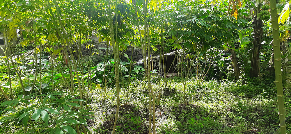 TANAH UNTUK RUMAH TINGGAL ATAU VILLA DI GEGER KALONG BANDUNG