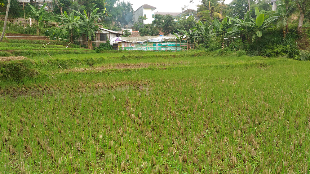 TANAH KOMERSIAL SAYAP JALAN CIHANJUANG, BANDUNG BARAT