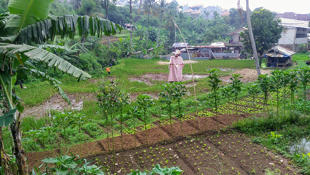 TANAH KOMERSIAL SAYAP JALAN CIHANJUANG, BANDUNG BARAT