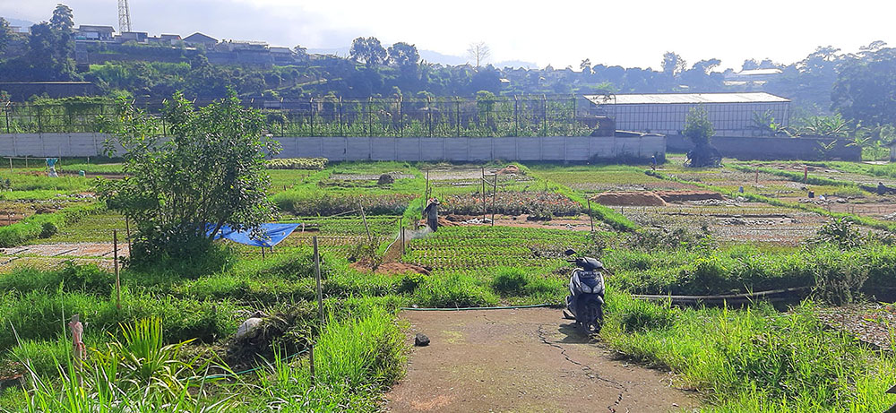 TANAH DEKAT LEMBANG PARK AND ZOO SAYAP JL. SERSAN BAJURI BANDUNG