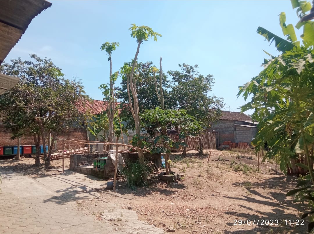 Dijual Tanah Murah Barat Kampus Stpn Sleman Yogyakarta