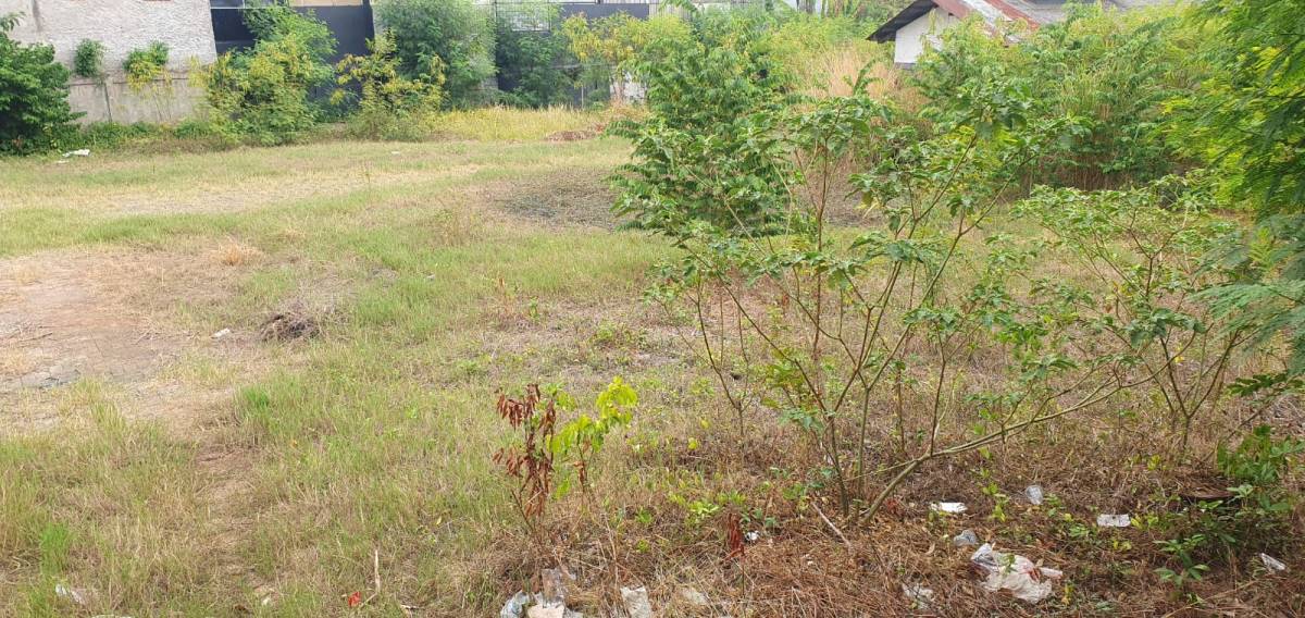 Jual Tanah No 1 seluas 1900 M² - No 2 Seluas 3410 M² Jatibenin
